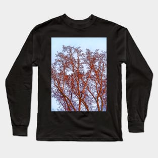 Tulip Tree in Winter Sunset Long Sleeve T-Shirt